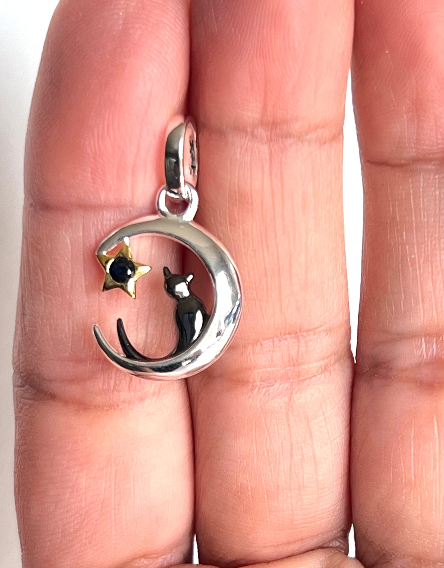 Cadena con Dije de Gato en La Luna, Plata925